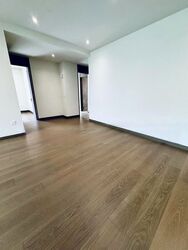 Dalvey Haus (D10), Condominium #474371411